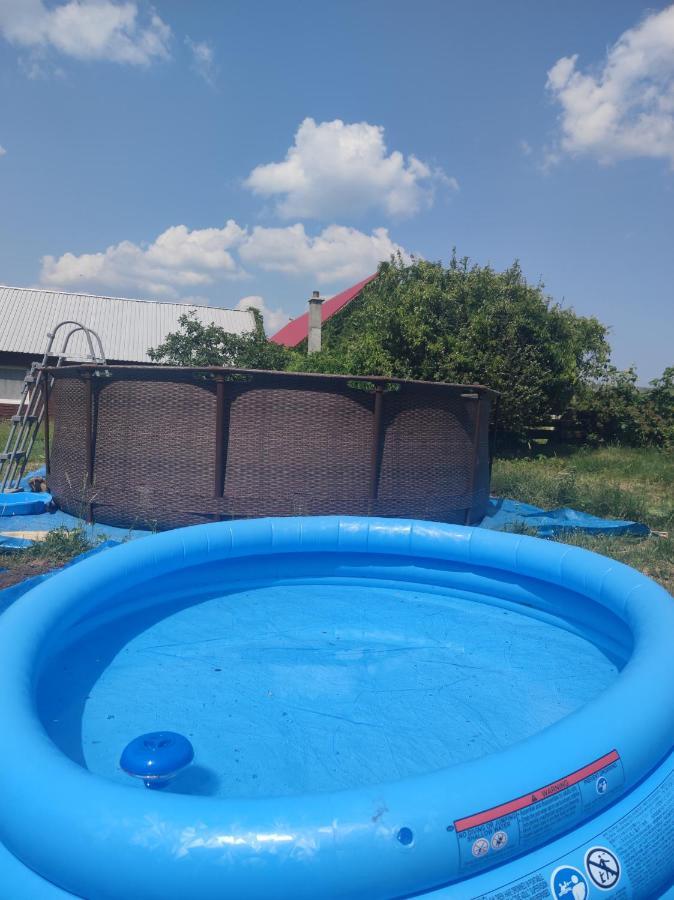 Malinowy Gaj - Agroturystyka Z Alpakami I Innymi Zwierzetami Swietajno  Экстерьер фото